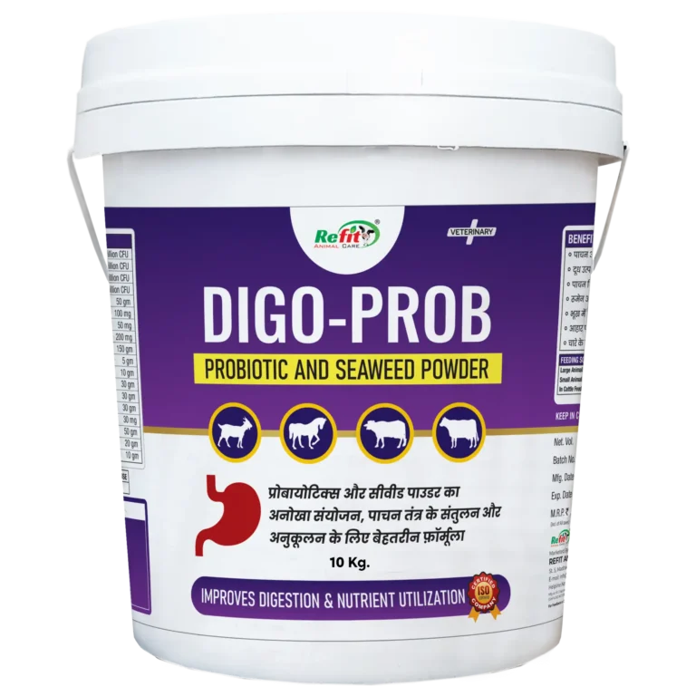 probiotic and seaweed powder for livestock