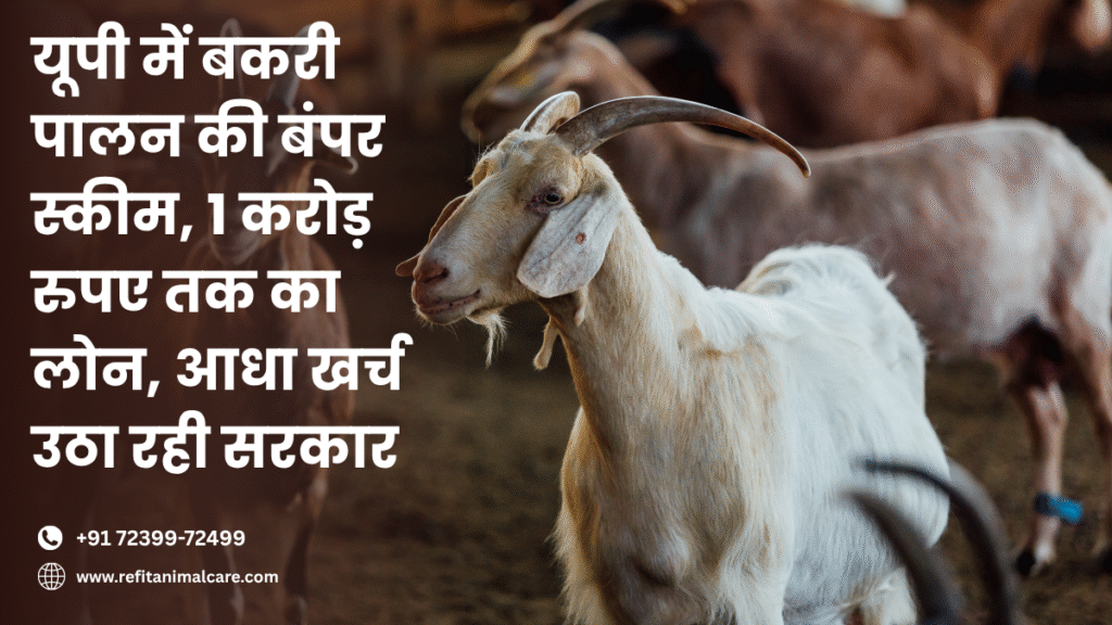बकरी पालन योजना