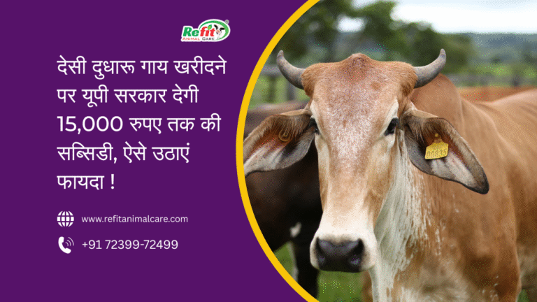 up-desi-dairy-cow-subsidy