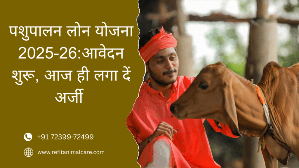 animal husbandry loan 2025