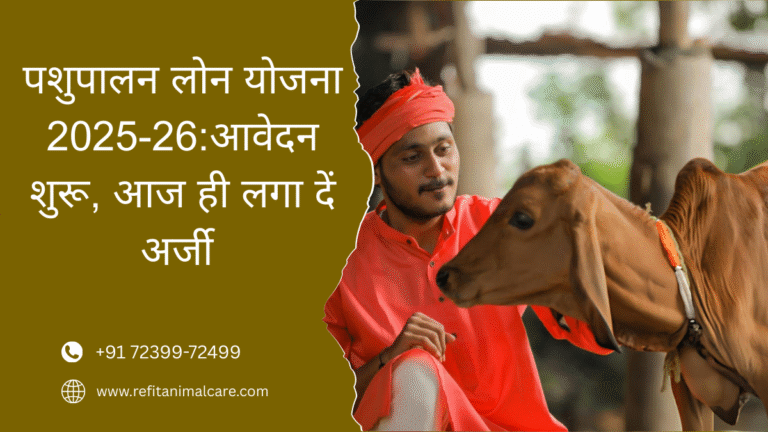 animal husbandry loan 2025