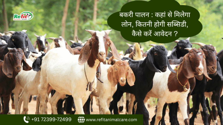 goat farming loan subsidy