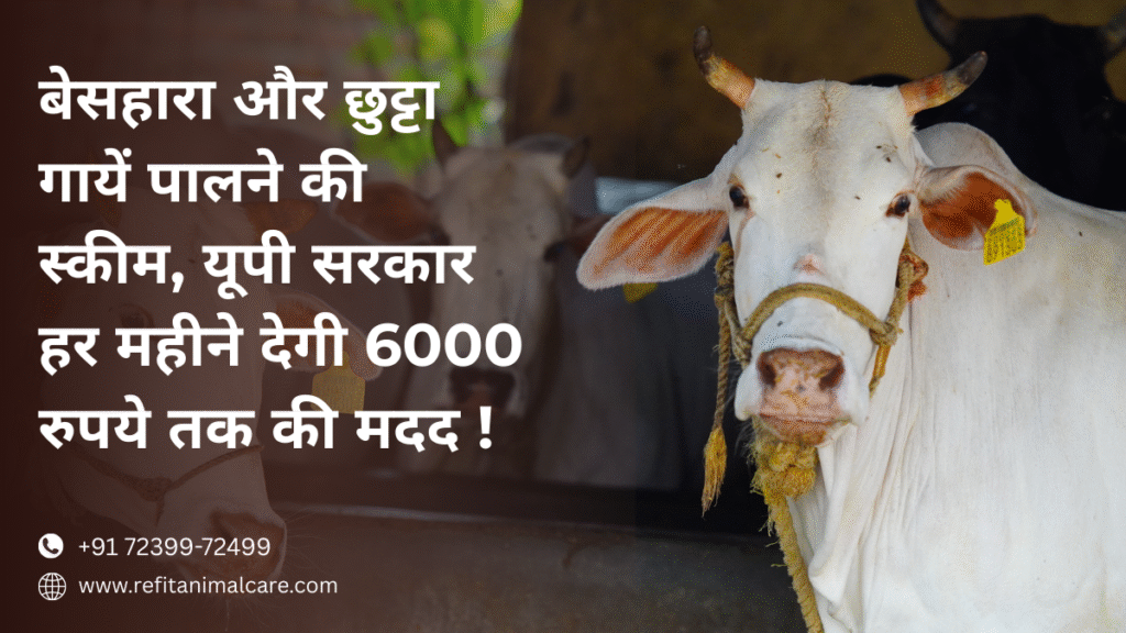 stray cattle support scheme