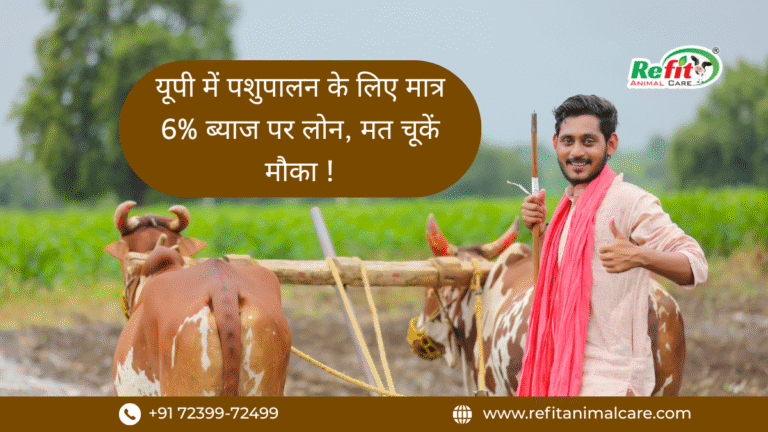 Uttar Pradesh livestock loan scheme