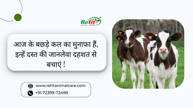 calf diarrhea prevention