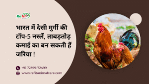 desi chicken breeds in India
