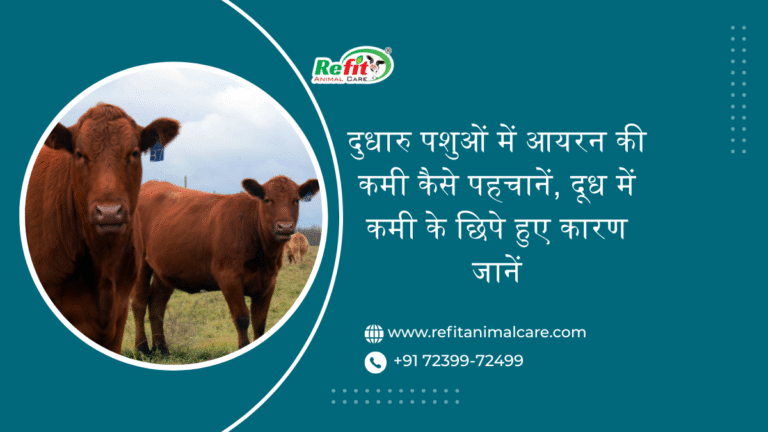 iron deficiency in dairy animals