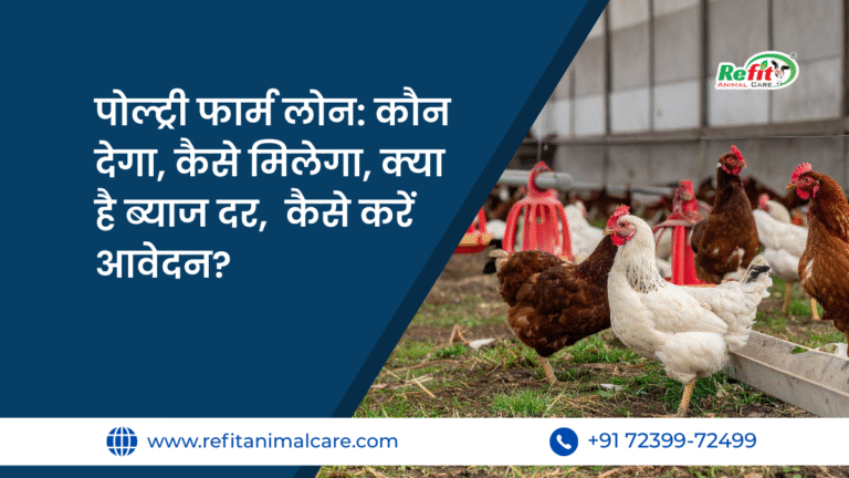poultry farm loan scheme