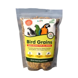 Bird Grain best natural seed blend for birds parrots and pigeon daily nutrition
